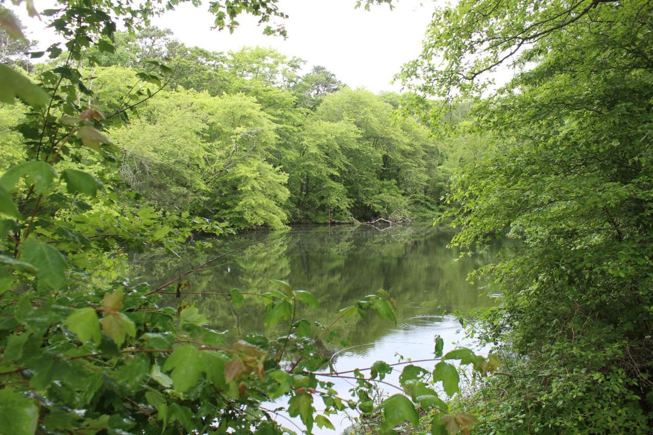 Herring Run Bourne Esterno foto