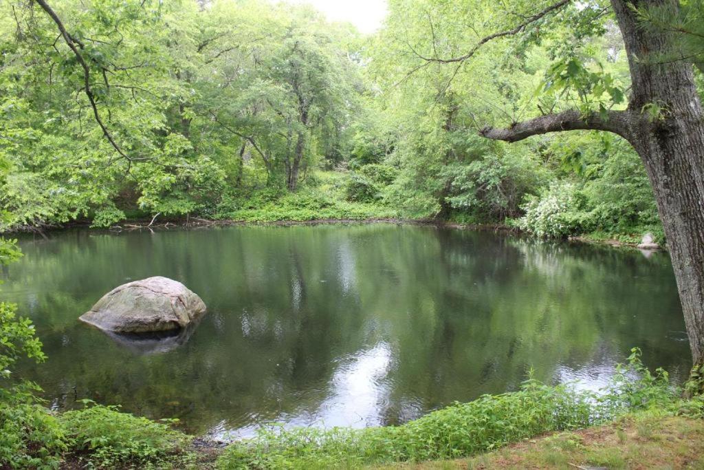 Herring Run Bourne Esterno foto