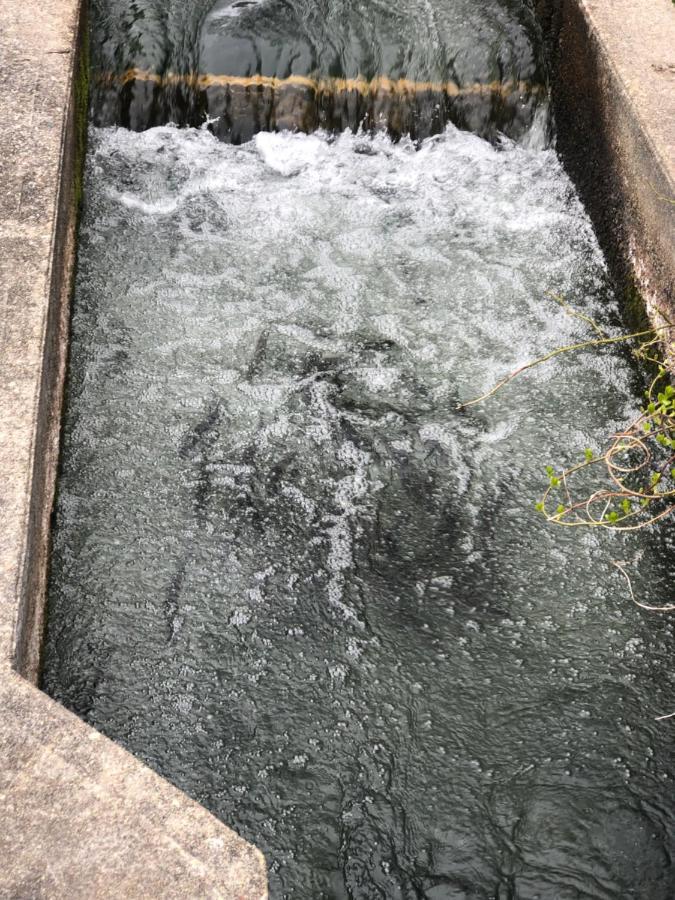 Herring Run Bourne Esterno foto